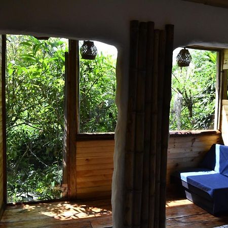 Habitacion Las Bromelias, Pijao, Finca Flora Del Rio Kültér fotó