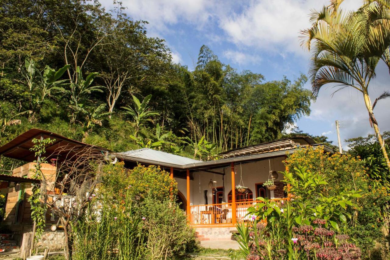 Habitacion Las Bromelias, Pijao, Finca Flora Del Rio Kültér fotó