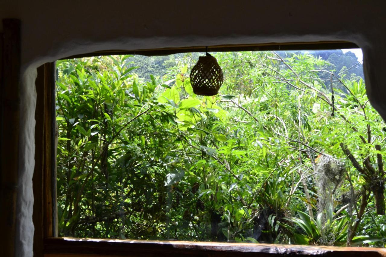 Habitacion Las Bromelias, Pijao, Finca Flora Del Rio Kültér fotó